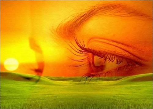 Como librarse de los granos rojos sobre la persona que